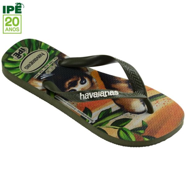 Chinelo Havaianas Ipê Bicho-Preguiça - Image 2