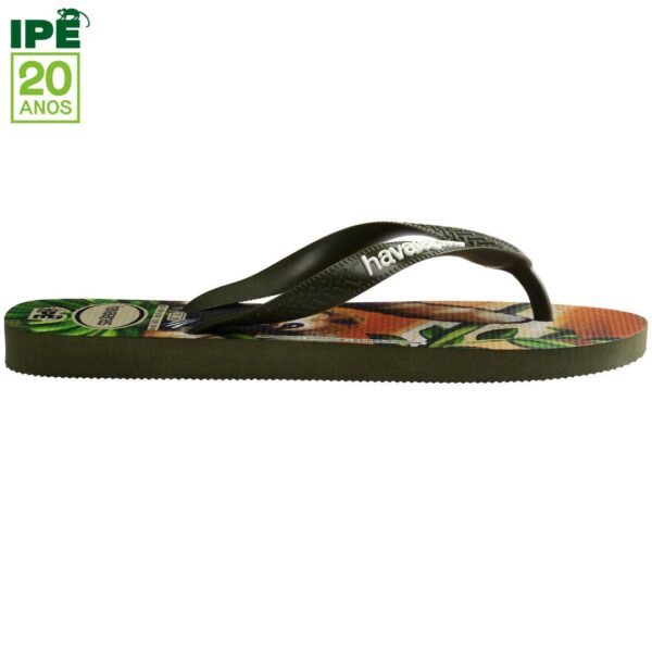 Chinelo Havaianas Ipê Bicho-Preguiça - Image 3