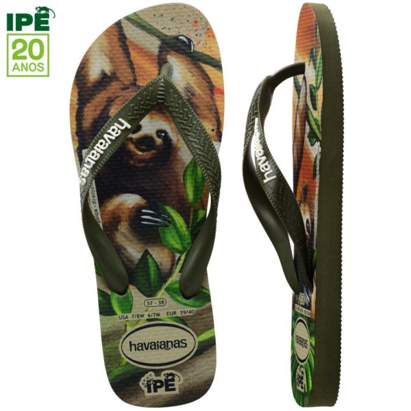 Chinelo Havaianas Ipê Bicho-Preguiça - Image 5