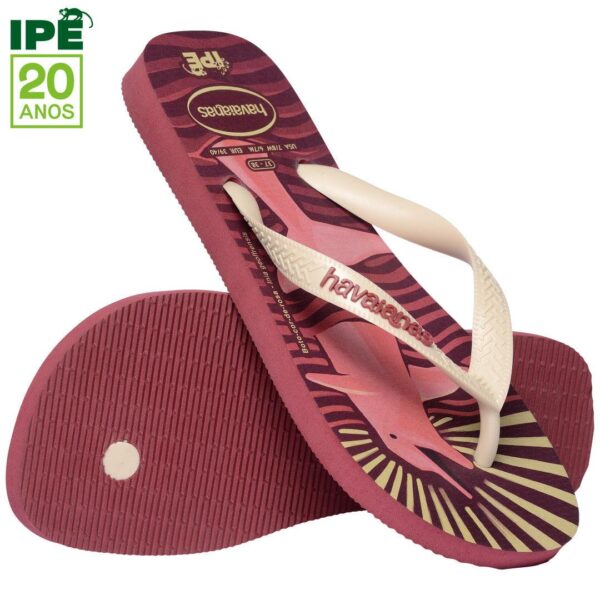 Chinelo Havaianas Ipê Boto - Image 4