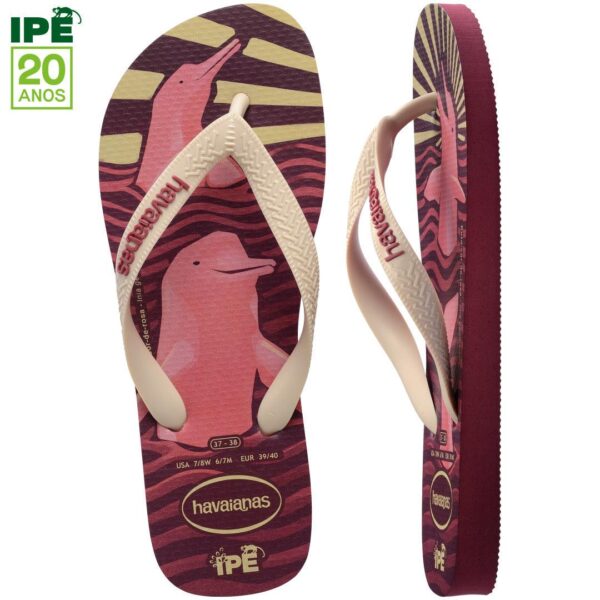 Chinelo Havaianas Ipê Boto - Image 5