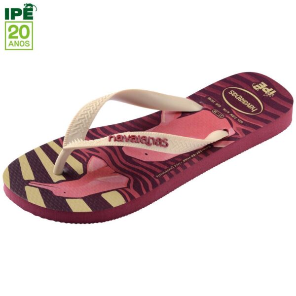 Chinelo Havaianas Ipê Boto - Image 6